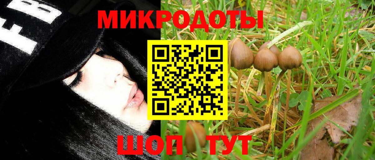 Псилоцибиновые грибы прущие грибы  Псилоцибиновые грибы Magic Shrooms  Южно-Сахалинск  Вход с VPN 